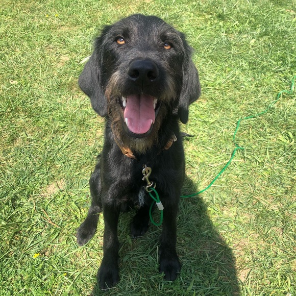 Meet your Posher, Komal - Picture 1 of 1